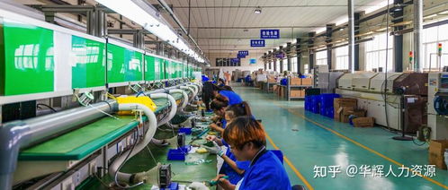 电子厂普工 现代制造业的基石，电子配件的组装者